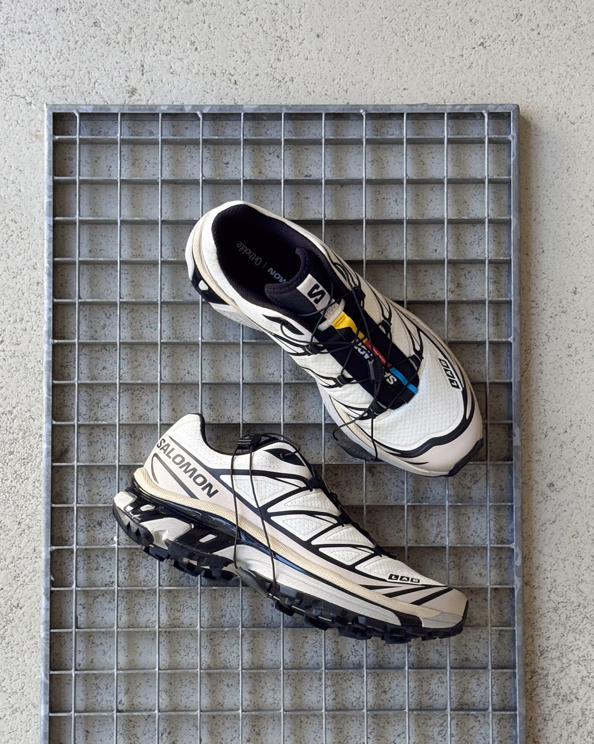 Salomon XT-6